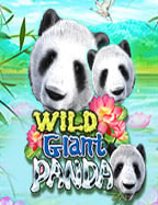 เว็บสล็อต แตกง่าย 2021 ฝากถอน ไม่มี ขั้น ต่ํา ทดลองเล่นให้สนุก